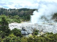 Blick auf die Geysire von Te Puia