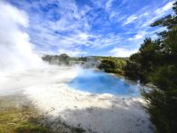 Künstlicher Geysir in Wairakei