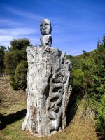 Häuptling der Maori, Warakei