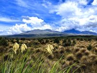 Tongariro Nationalpark mit den charakteristischen Bergriesen