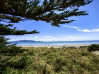 Auf dem Weg nach Wellington halten wir am Strand