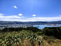 Blick über die Bucht von Wellington