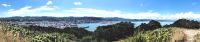 Panorama von Wellington