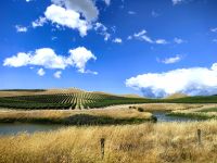 Landschaft auf der Südinsel, es ist viel karger