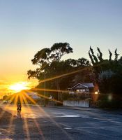 Morgensonne in Kaikoura