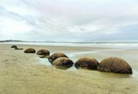 Moeraki Boulders Beach  