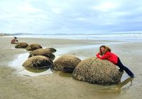 Reisebegleiterin Simone versucht vergeblich, einen der Bälle weg zu schieben, Moeraki Boulders Beach