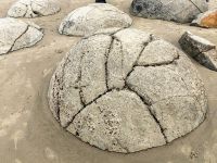 Wie Schildkrötenpanzer, Moeraki Boulders