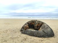 Moeraki Boulders Beach mit den rätselhaften Steinen