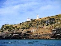 Leuchtturm der Otego Peninsula