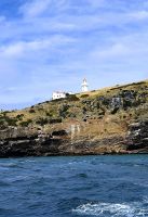 Leuchtturm der Otego Peninsula