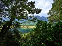 Auf dem Weg zum Milford Sound kommen wir an spektakulären spiegelklaren Seen vorvei