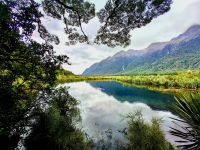 Mirror Lake an der Milford Sound Road