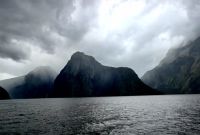 Der Milford Sound ist das regenreichste Gebiet Neuseelands und liegt mitten im Bergregenwald