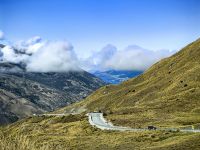 Diese Straße ist wirklich ein Traum, unterwegs von Queenstown zum Fox Gletscher