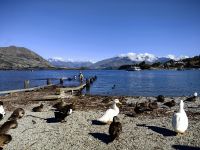 Wanaka
