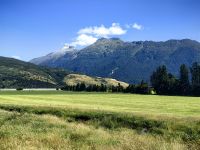 Auf dem Weg nach Fox