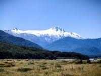 Die Schneeriesen hinter dem Haast Pass