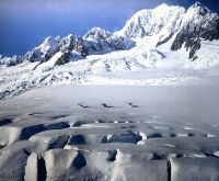 Hubschrauberflug zum Fox Gletscher