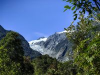 Die Gletscherzunge des Franz Josef Glacier hat sich in den letzten Jahrzehnten weit zurückgezogen