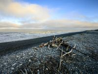 Rauhe Tasmanische See, steiniger Strand, wilde Schönheit