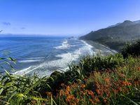 Montbrezien vor der Tasmanischen See