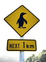 Solche Verkehrsschilder findet man wohl nur in Neuseeland 