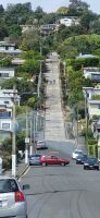 218 Baldwin Street Dunedin