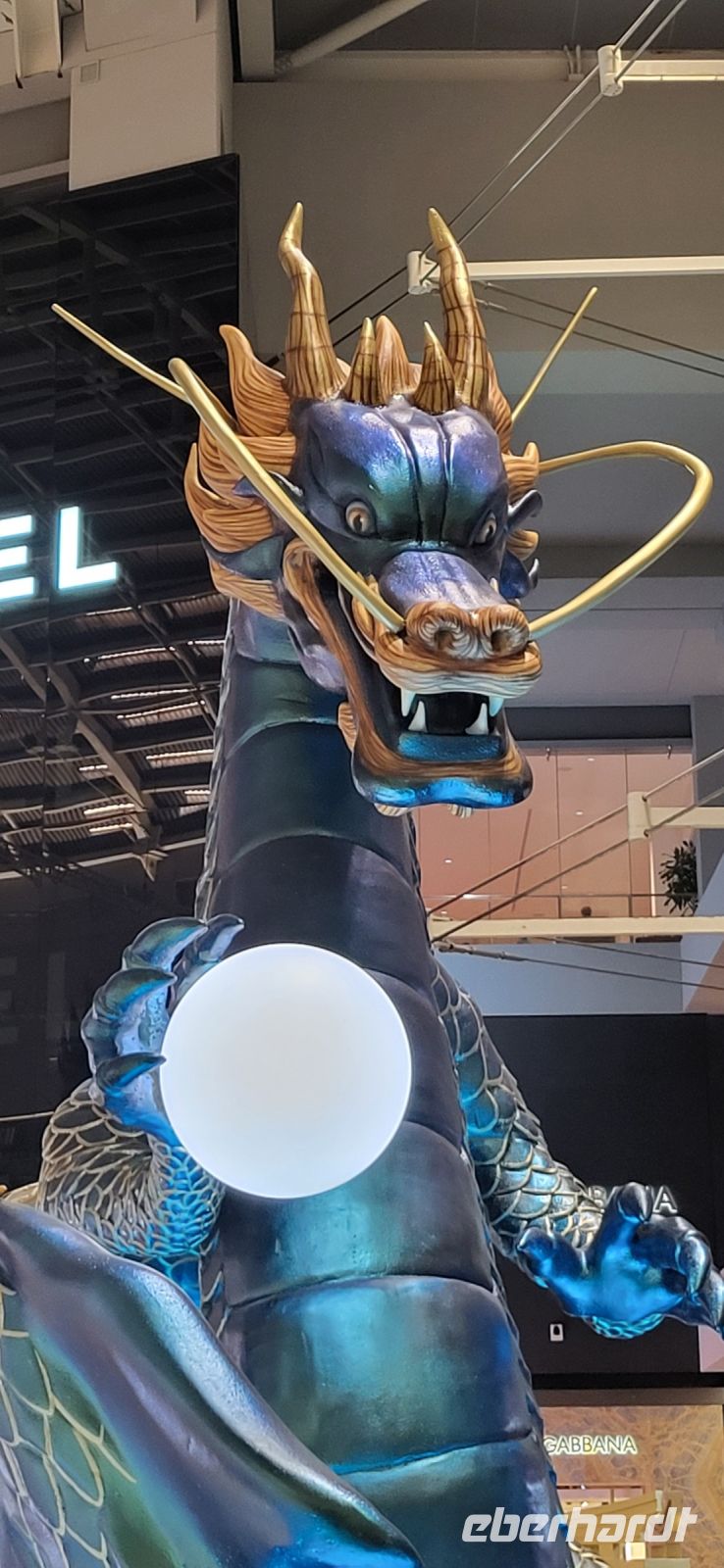 07 Drachen im MBS Shopping