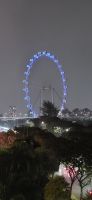 10 Singapore Flyer