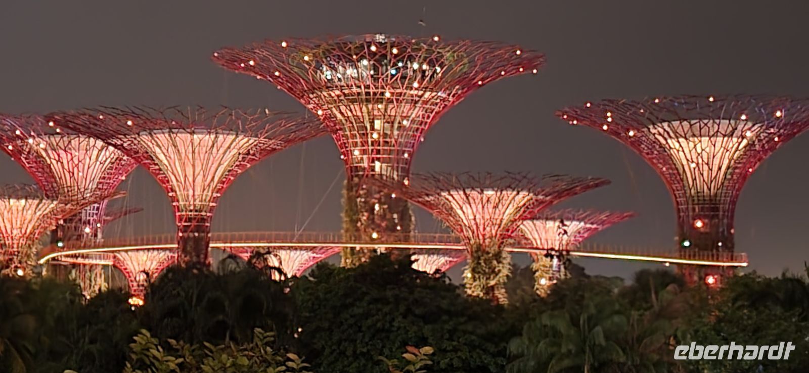 11 Illuminated Trees