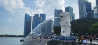 26 Merlion