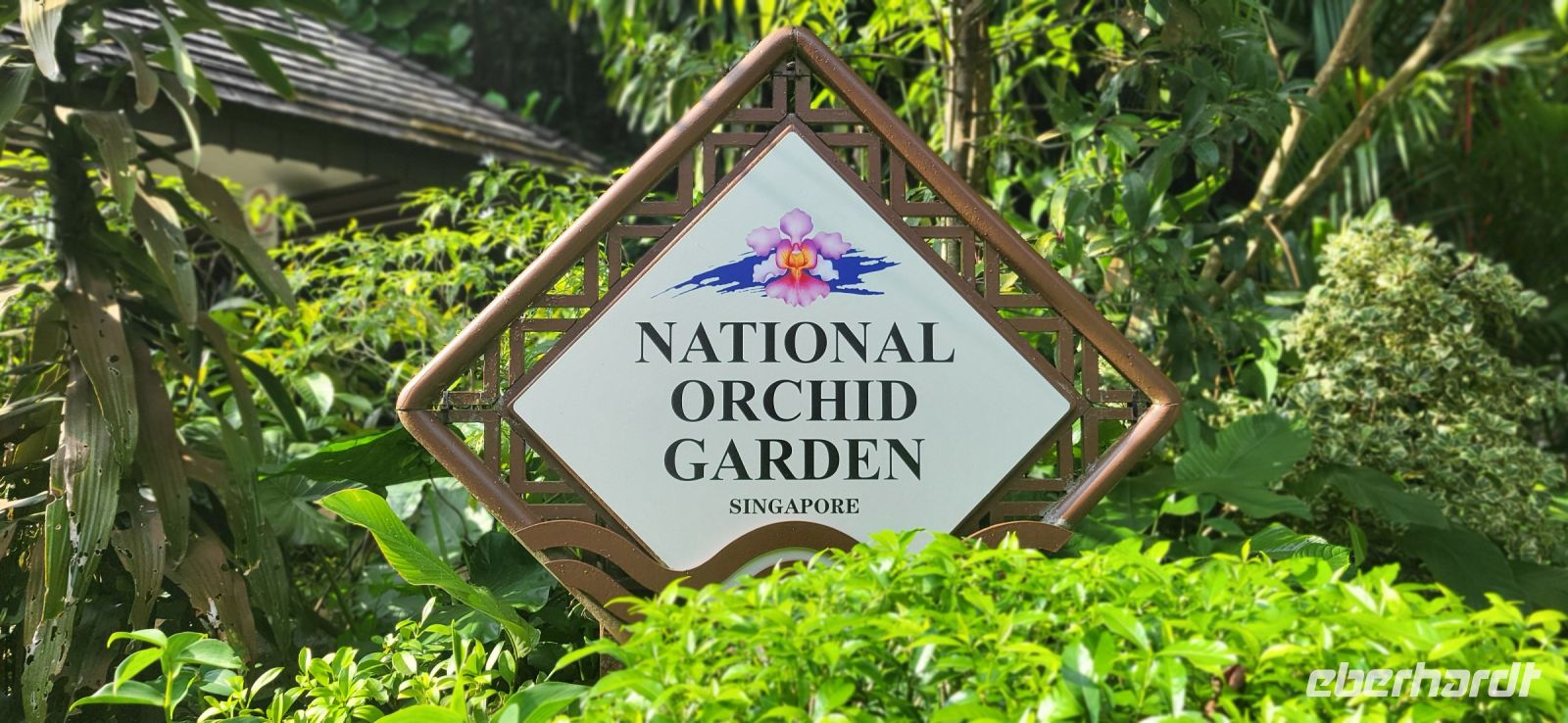 31 im Orchideengarten in Singapur