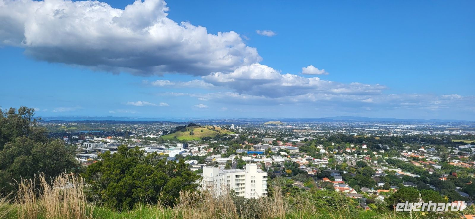 41 Aussicht von Mount Eden