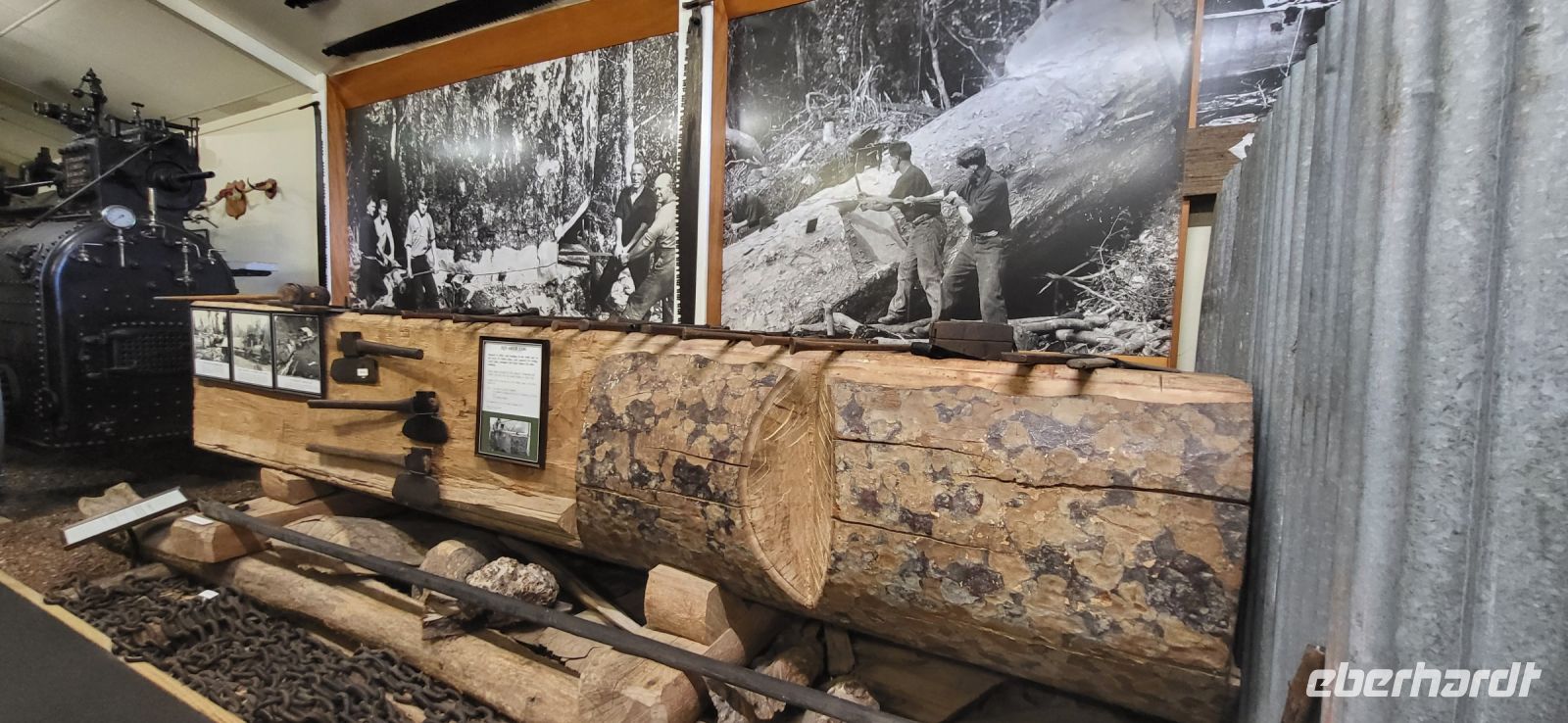 46 Kauri Museum Matakohe