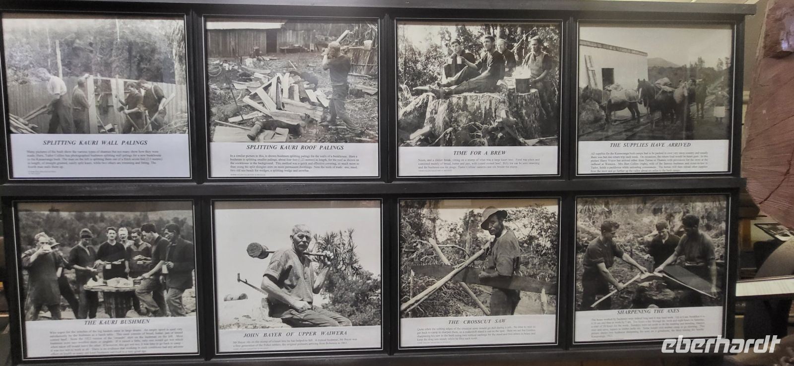 47 Kauri Museum Matakohe