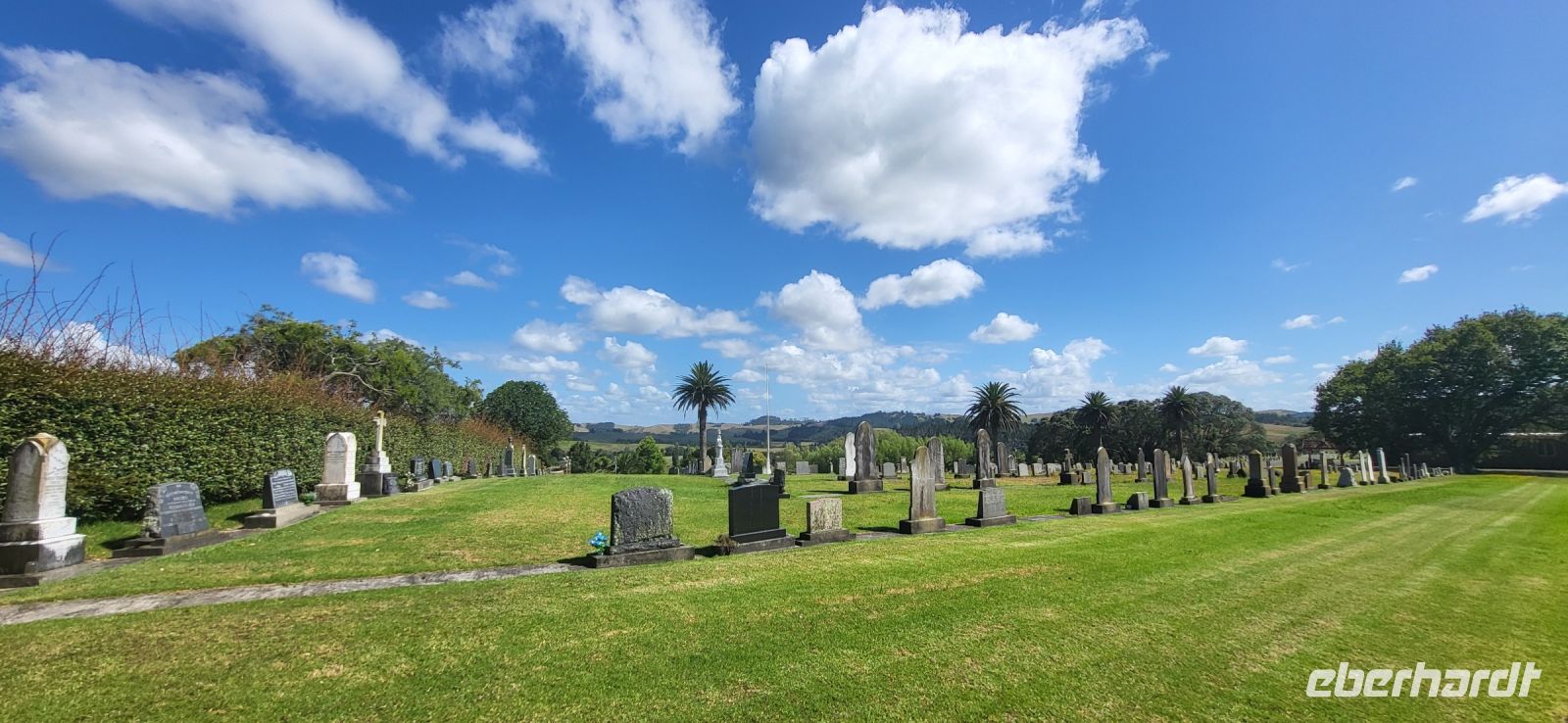 51 Blick in die Natur