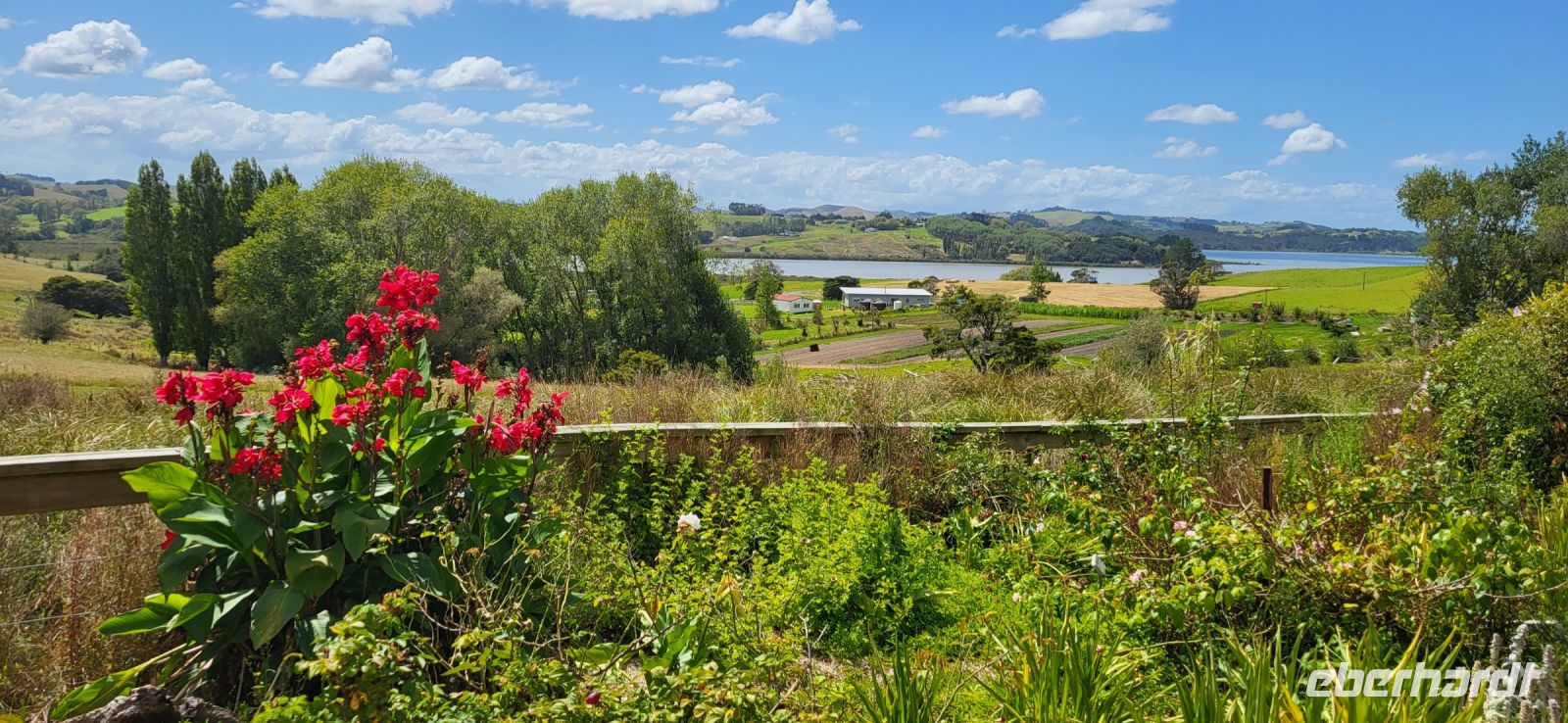 54 Landschaft Neuseeland