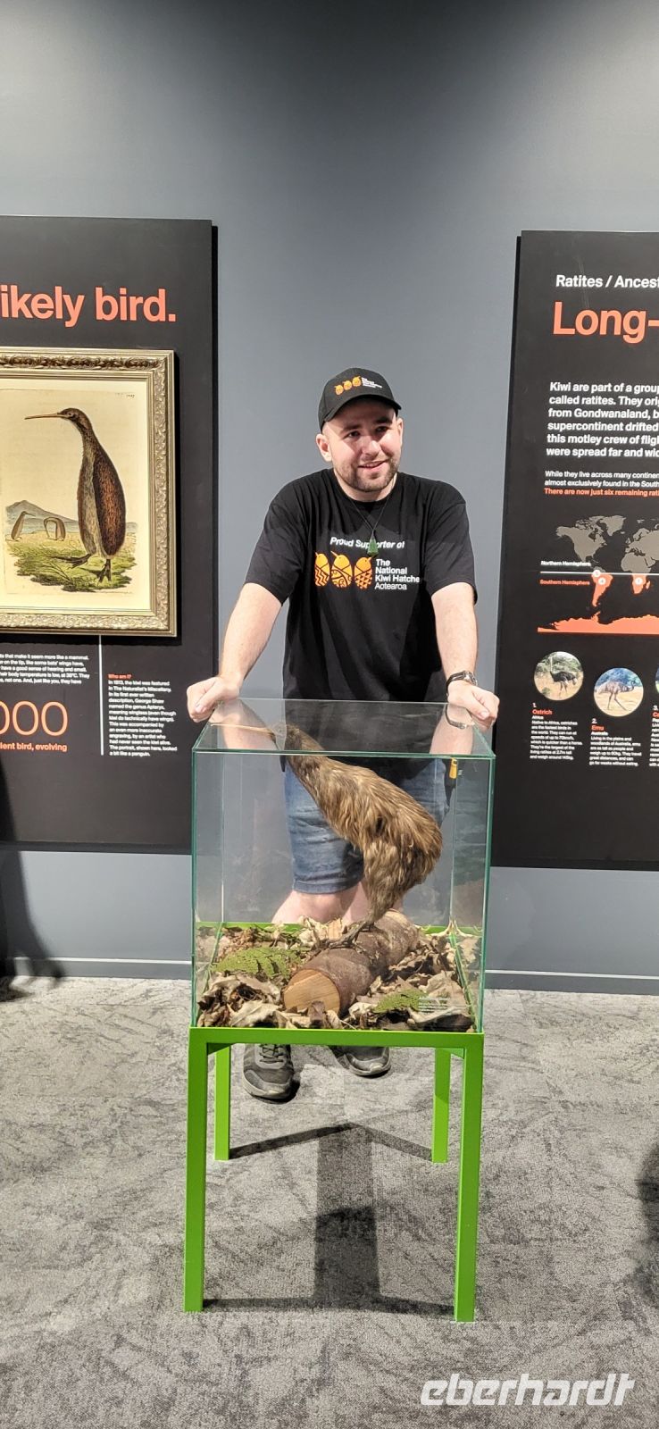 110 Andre in der Kiwiaufzuchtstation