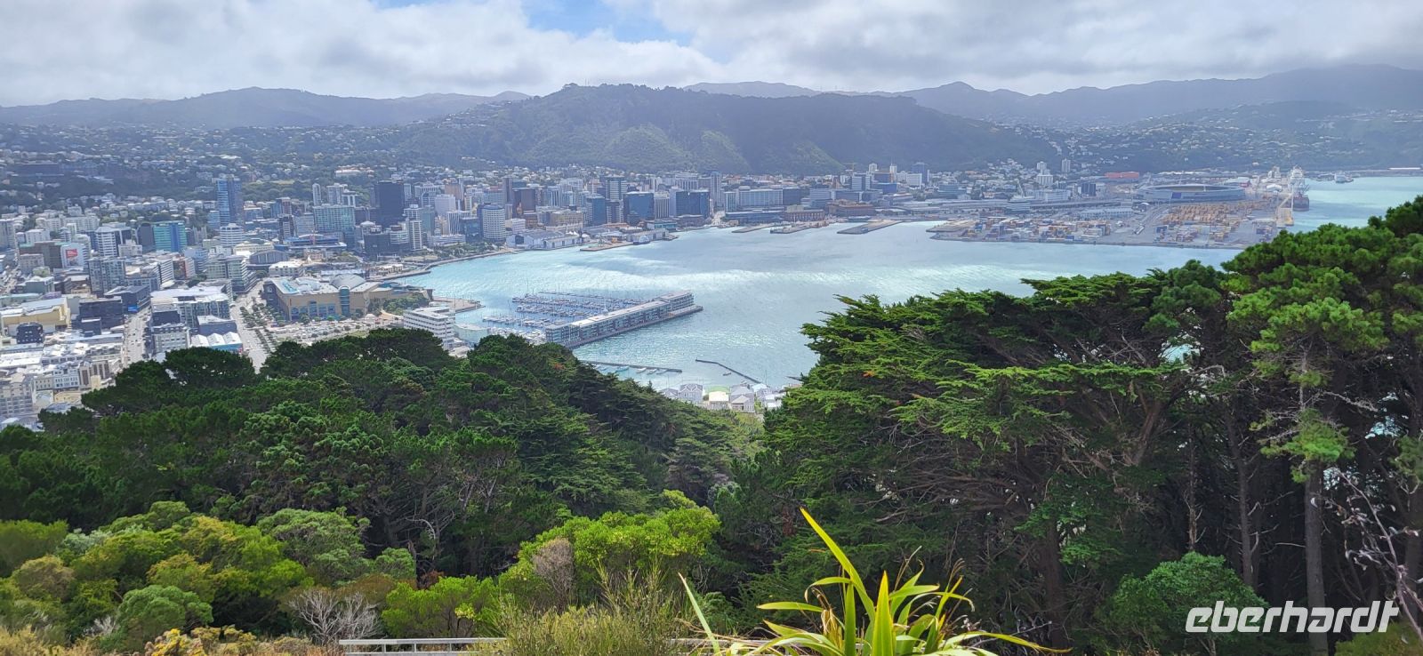 138 Blick auf Wellington