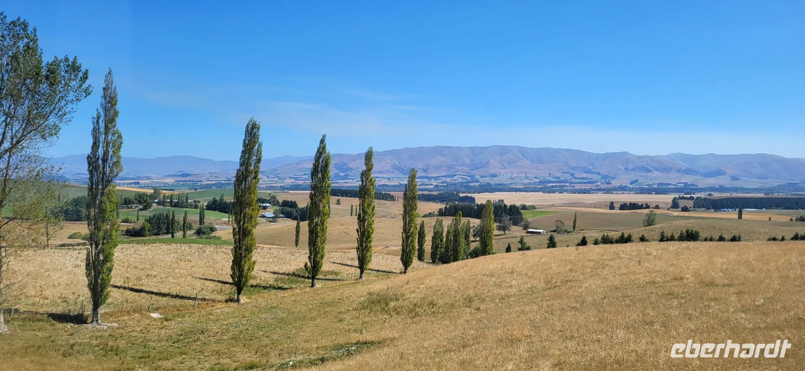 164 Toskana in Neuseeland