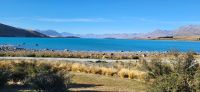 169 Lake Tekapo