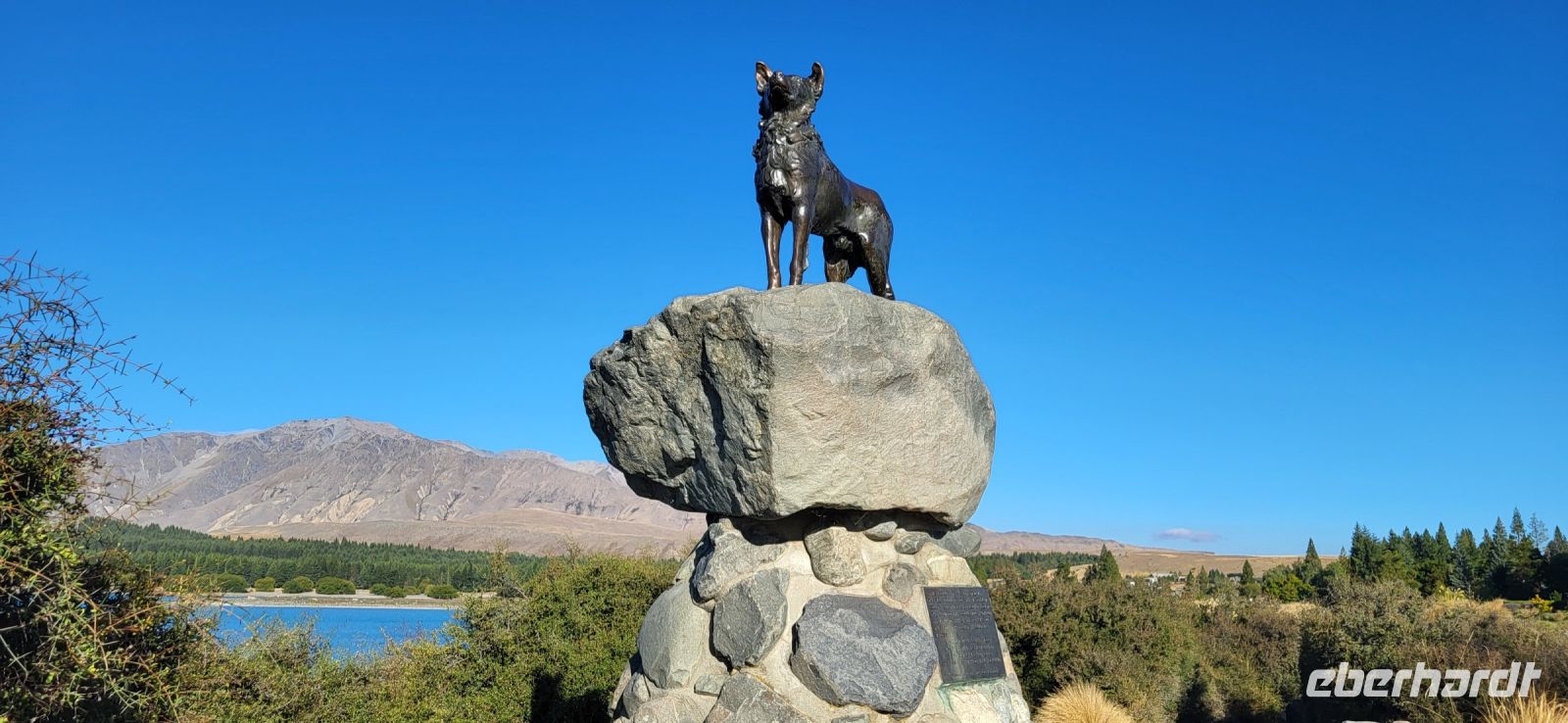 171 berühmter Hirtenhund