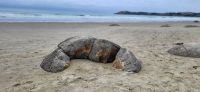 178 Moeraki Boulders