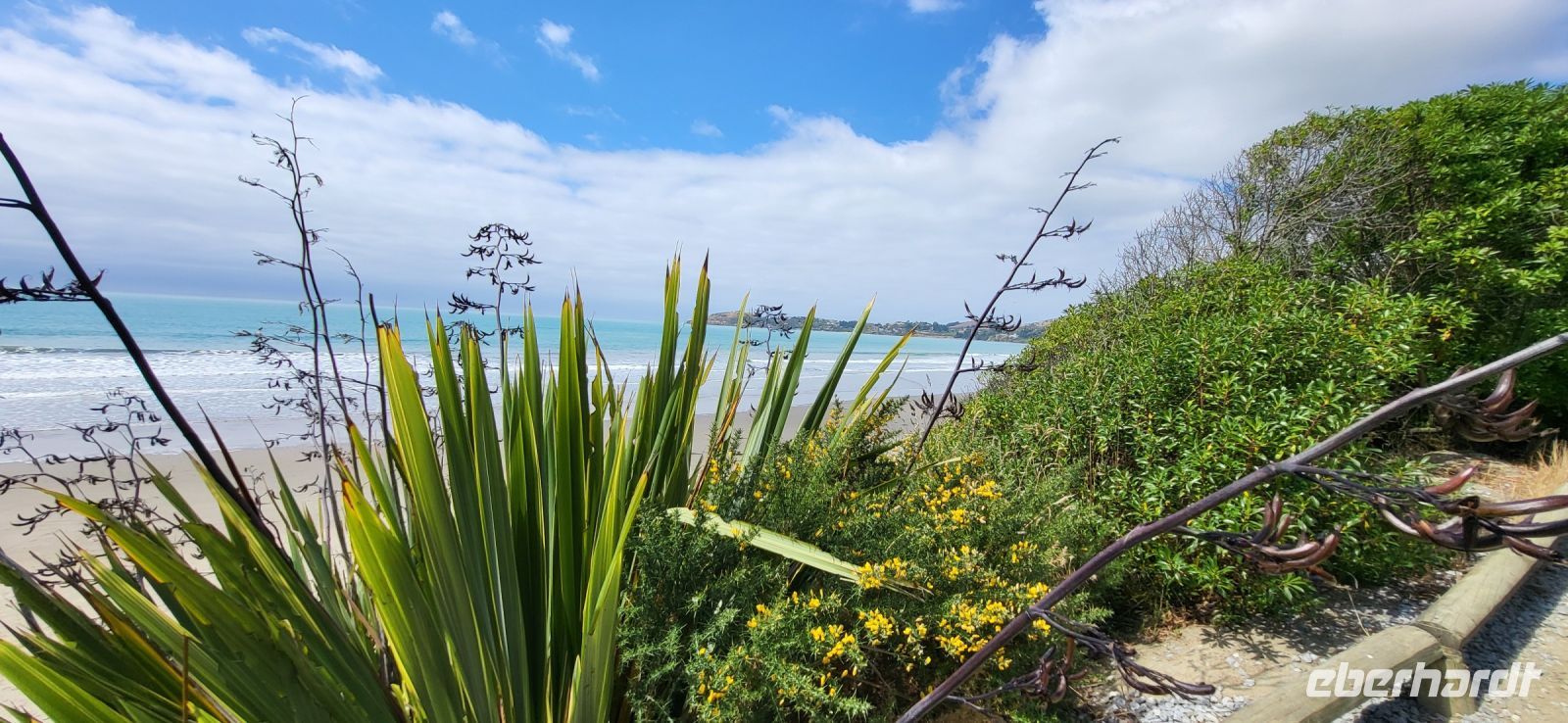 179 Moeraki Boulders