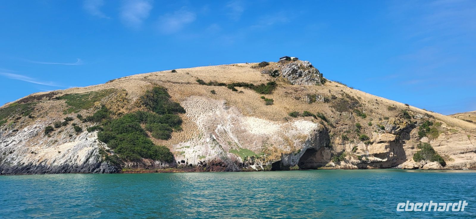 192 Bootsfahrt Otago Bay