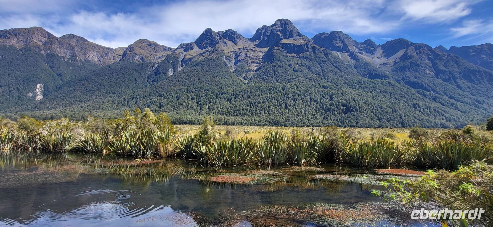 203 Impressionen am Spiegelsee