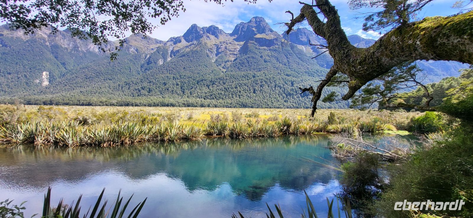 204 Impressionen am Spiegelsee