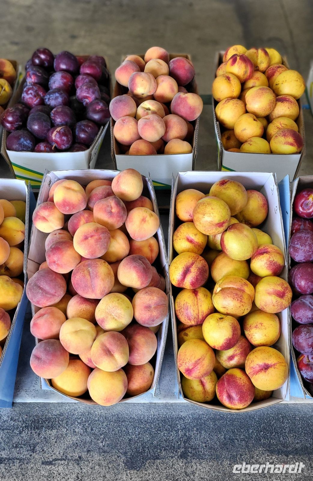 246 Hiesige Früchte