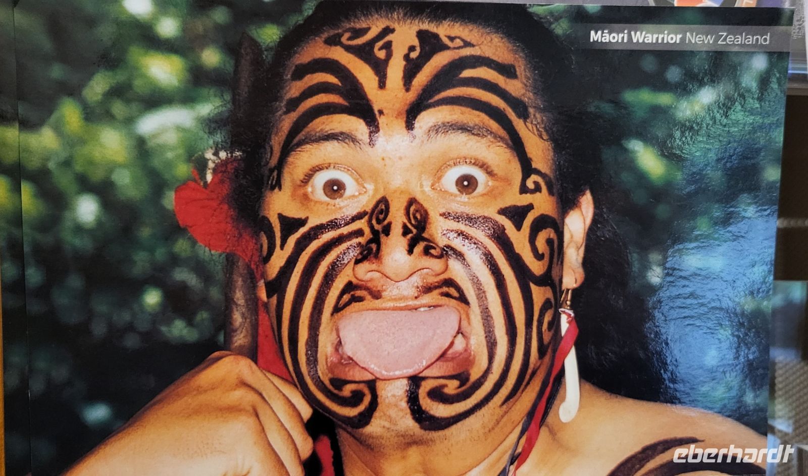256 Maori in Neuseeland